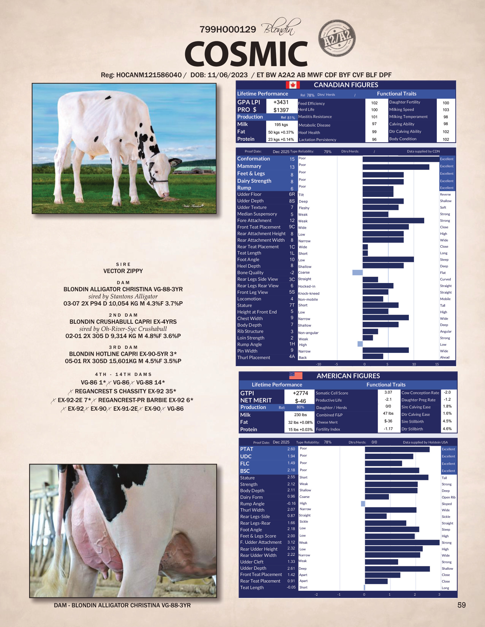 COSMIC — 799HO00129